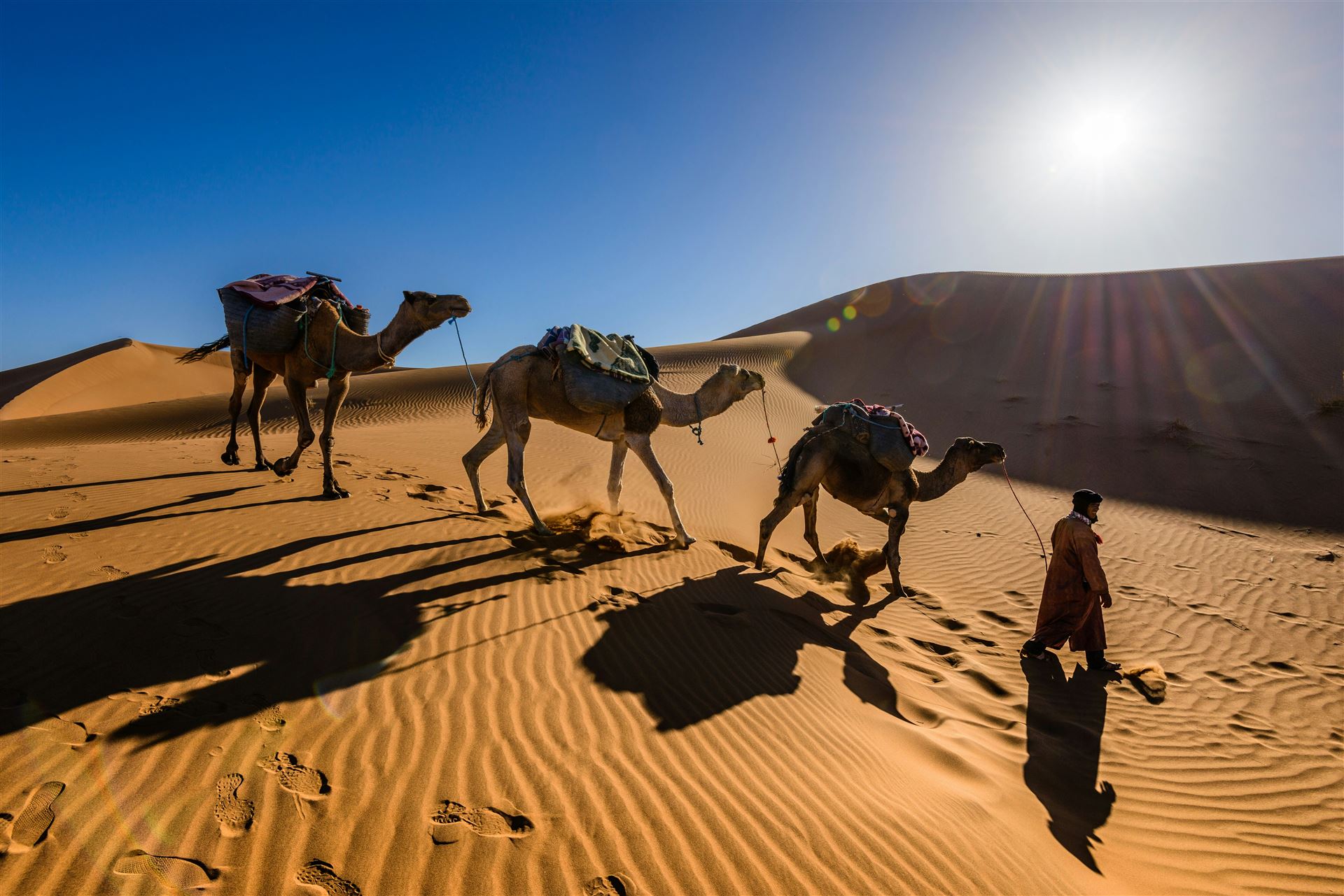 Travel in Morocco local guide team in the Sahara