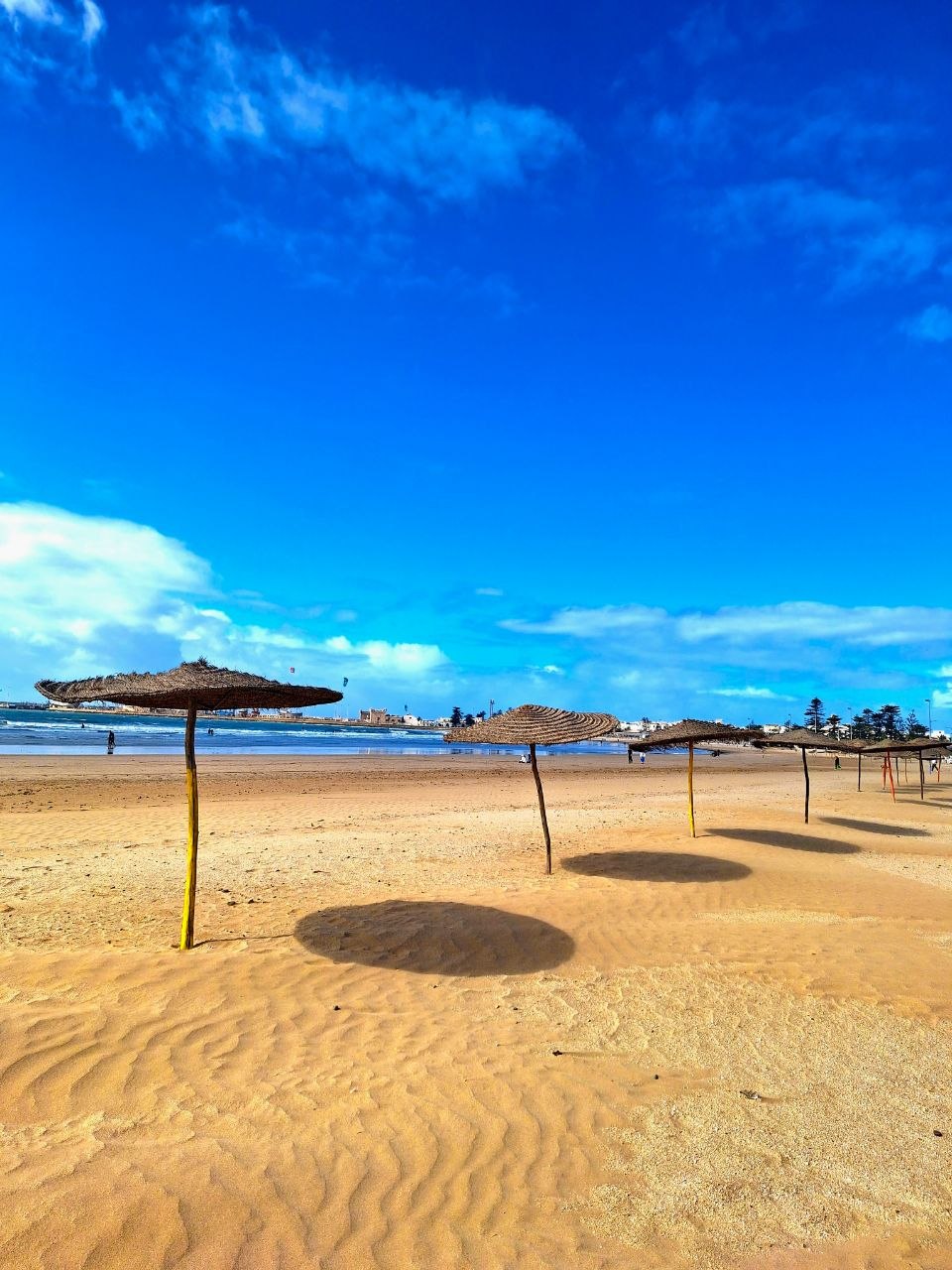 Essaouira Atlantic coast day trip from Marrakech